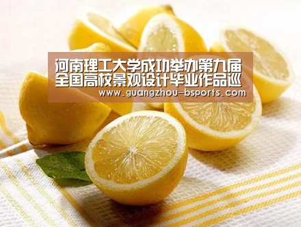 b体育官方入口